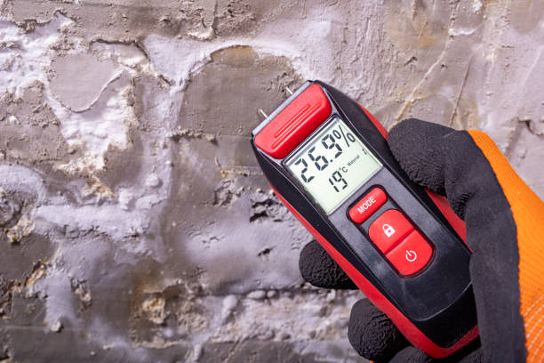 Office Mold Removal Services in Marion, NC