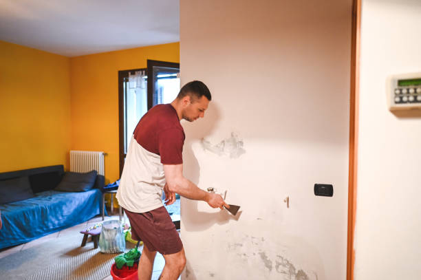 Best Home Mold Removal  in Marion, NC
