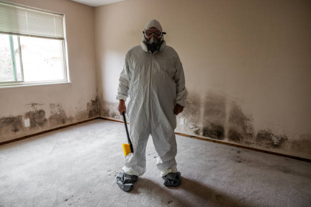 Reliable Marion, NC Mold Removal Solutions